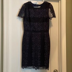 Cremieux Blue lace Sheath Dress